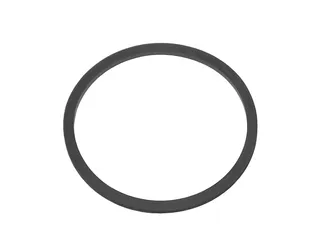 Victor Reinz Thermostat O-Ring - 11531250399
